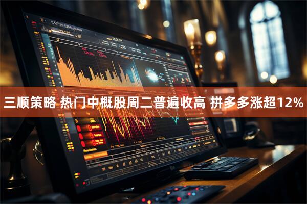 三顺策略 热门中概股周二普遍收高 拼多多涨超12%