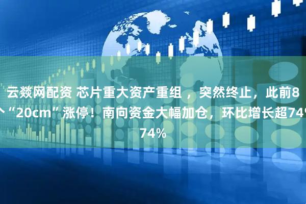 云燚网配资 芯片重大资产重组 ，突然终止，此前8个“20cm”涨停！南向资金大幅加仓，环比增长超74%