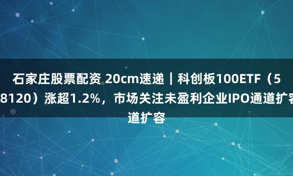石家庄股票配资 20cm速递｜科创板100ETF（588120）涨超1.2%，市场关注未盈利企业IPO通道扩容