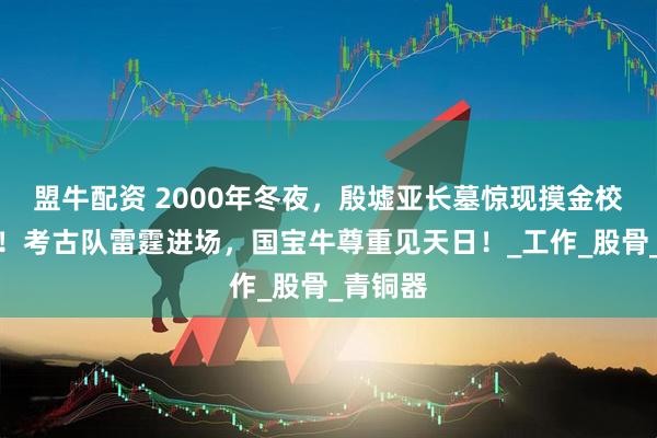 盟牛配资 2000年冬夜，殷墟亚长墓惊现摸金校尉身影！考古队雷霆进场，国宝牛尊重见天日！_工作_股骨_青铜器