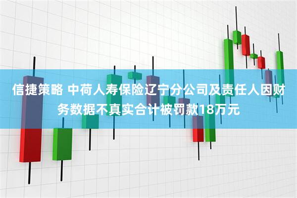 信捷策略 中荷人寿保险辽宁分公司及责任人因财务数据不真实合计被罚款18万元