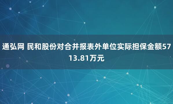 通弘网 民和股份对合并报表外单位实际担保金额5713.81万元